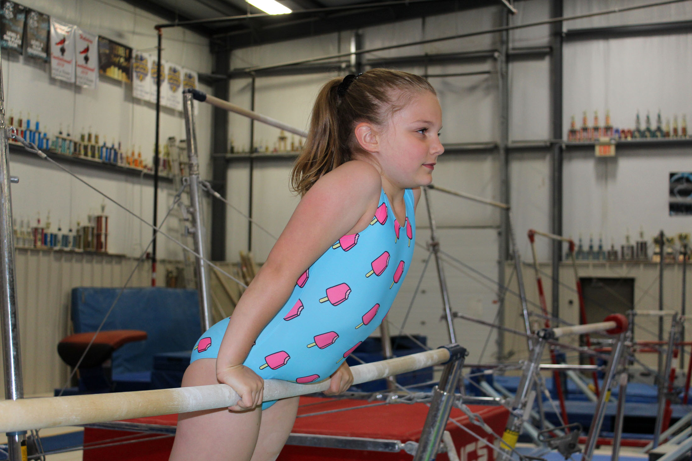 Gymnastics Michiana